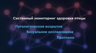 Мониторинг здоровья птицы