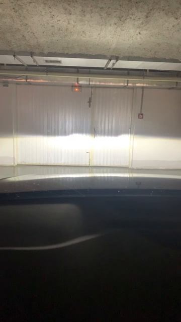 7310954959352773261