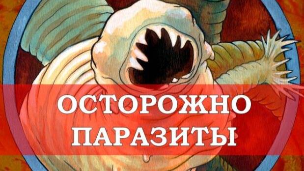Реформы дистрибьюции: Мишустин добрался до лишних посредников