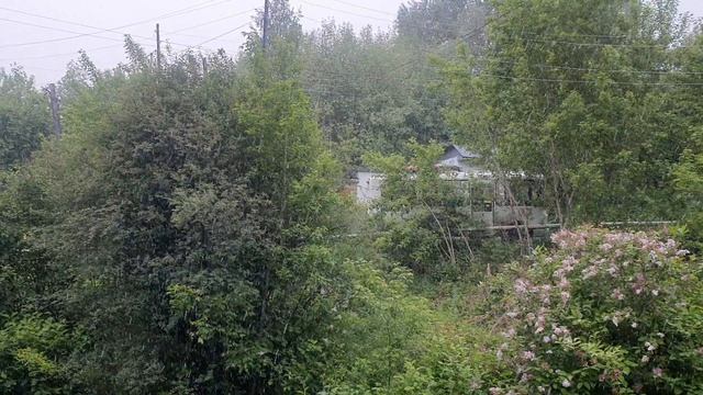 Метель