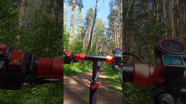 Лесная прогулка на куго макс спид.