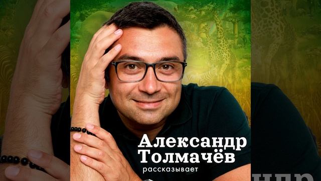 Можно ли кошкам молоко? Шпаргалки