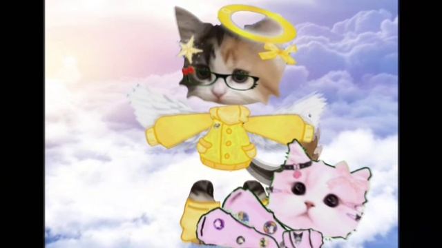 :3