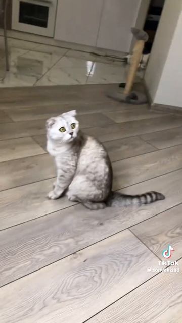 1000099169.mp4