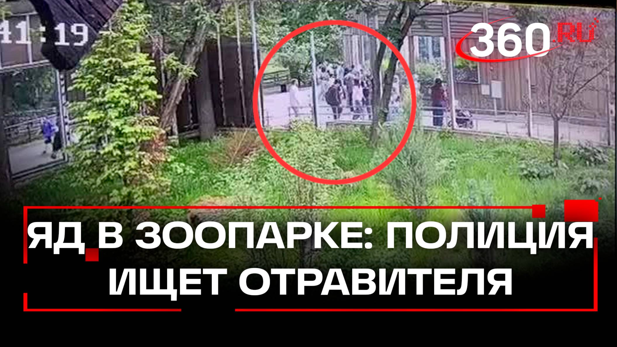 Неизвестные таблетки. Полиция расследует попытку отравления животных в Московском зоопарке