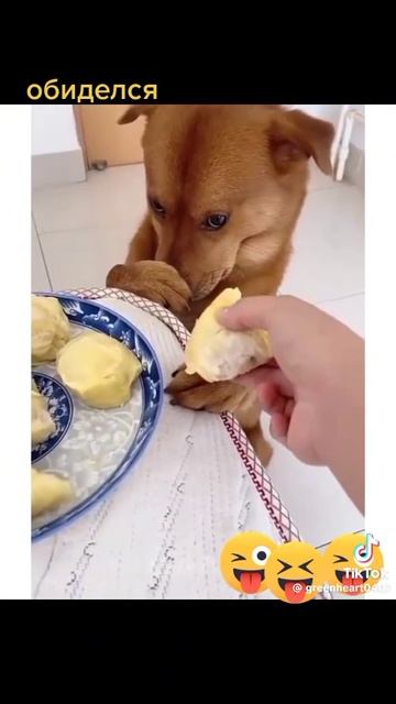 1000098647.mp4