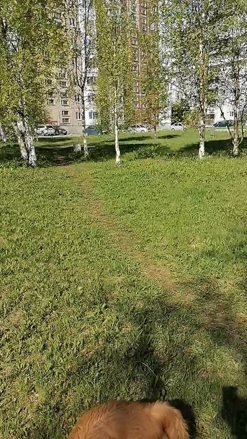 Ура солнце в Северодвинске