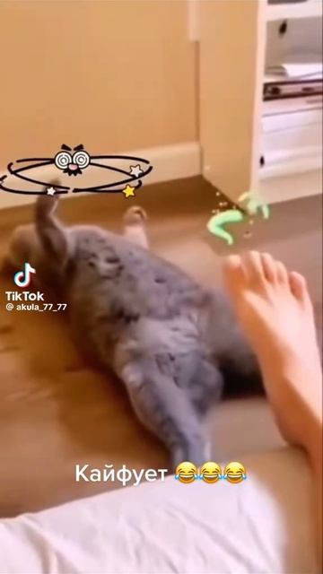 1000098724.mp4