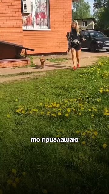 БЕСПЛАТНЫЙ ВЕБИНАР «Как обуздать лай собаки за 3 дня?»⬇️ https://clck.ru/3MFLqC