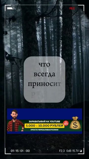 Опора в жизни.