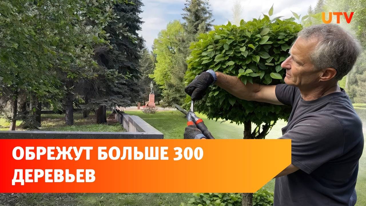 В парке Матросова в Уфе спилят 4 дерева и кронируют 300