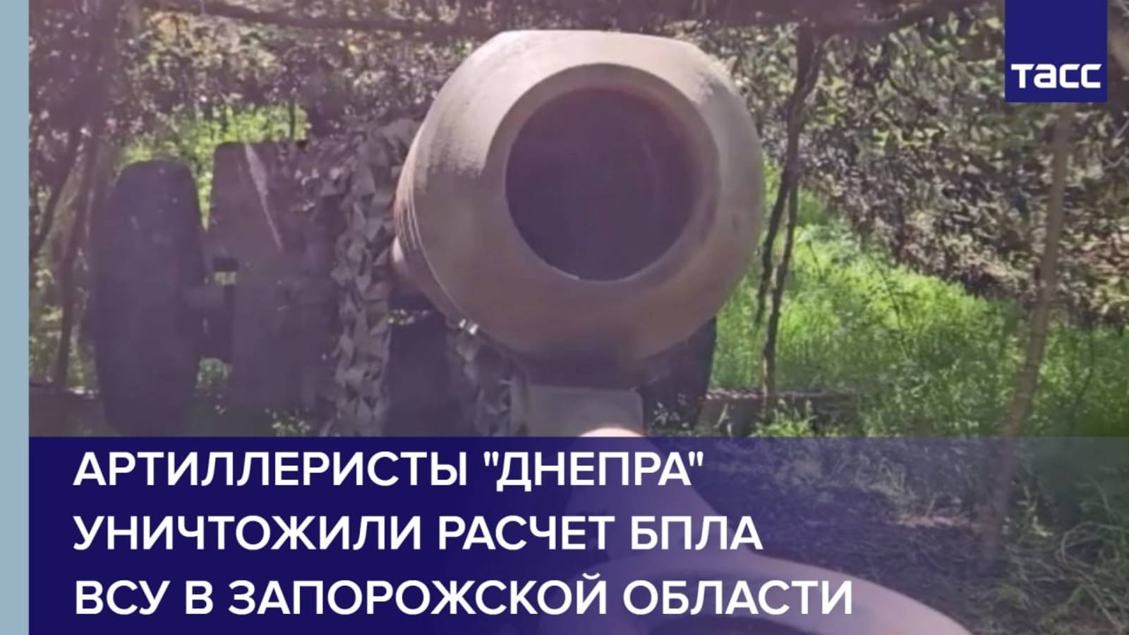 Артиллеристы "Днепра" уничтожили расчет БПЛА ВСУ в Запорожской области