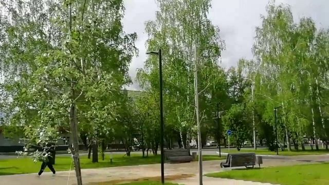 Увидим мы вдали брюнеток
