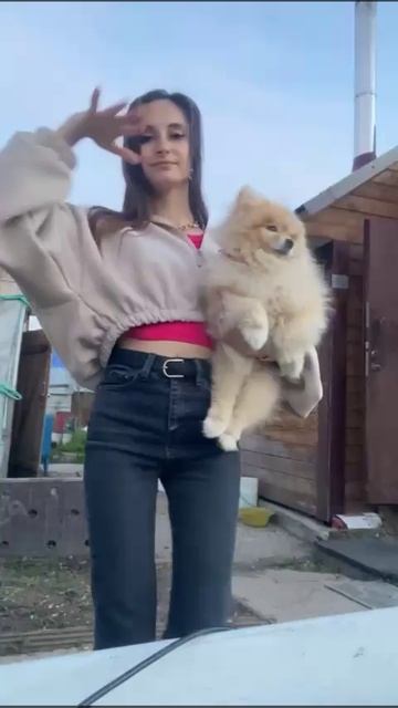 Теди любит танцевать❤️❤️❤️