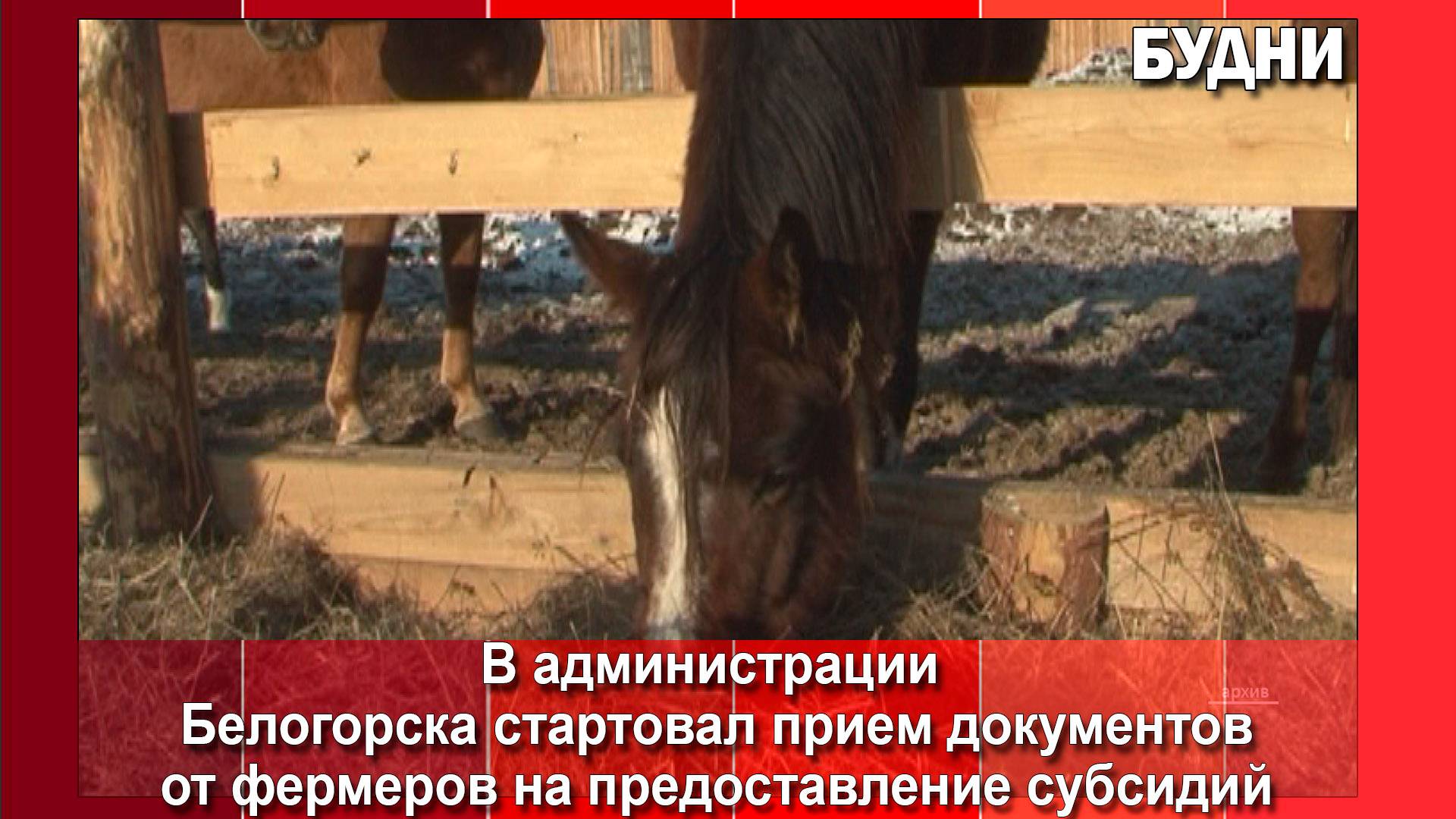 Фермеров Белогорска поддержат финансово
