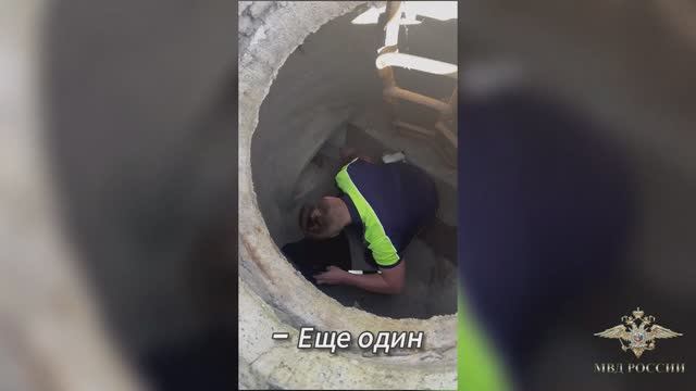 Спасательная операция утят полицейскими из подмосковной Госавтоинспекции