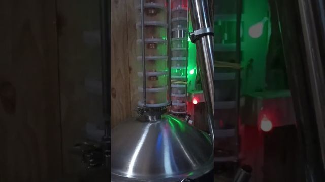 Цитрусовая водка аля апельсиновый мацерат на аппарате Домспирт