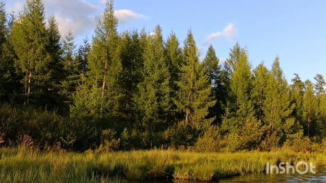 Лето в Саха Якутия. Нерюнгри. Серебряный Бор и водохра?