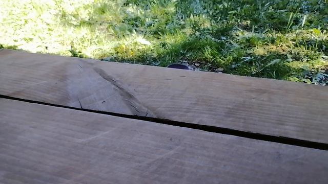 VID_20250528_120504.mp4