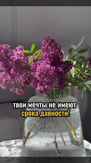 Начни действовать сегодня