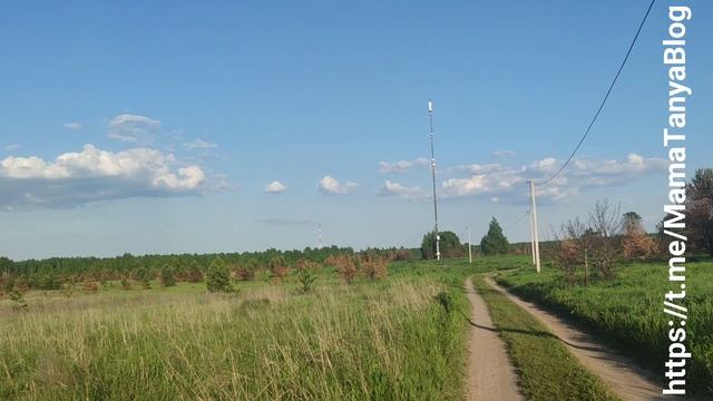 Велосипедная прогулка