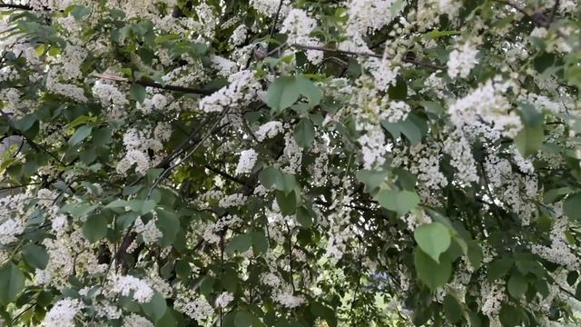 Прогулка по Кочуровскому парку