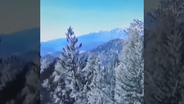 Пою Я построил для неё картонный дом Автор стихи Мэри Сказ Музыка Сергея Гринщука 👏👏👏