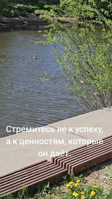 ценности жизни