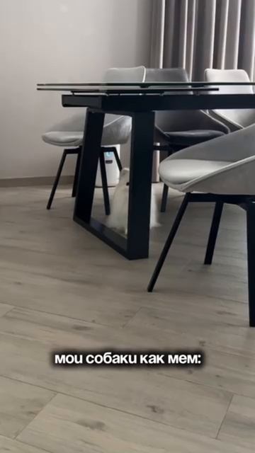 🤣
