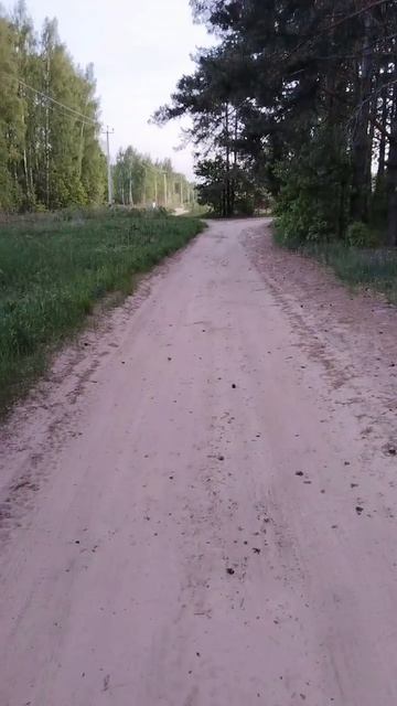 Вечер