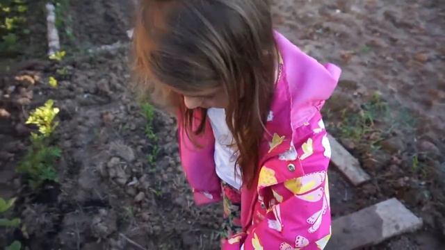 Что мы едим? 10.07.2017 Ирина Соковых