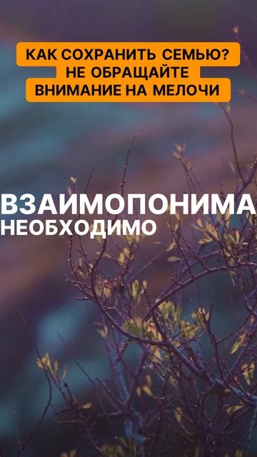 Как сохранить семью. Не обращайте внимание на мелочи. Секреты крепкой семьи.