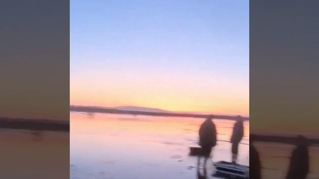 Селёдочный бум в Магадане — рыбу ловят руками, вёдрами и сачками. За один день с Ольского лимана ...