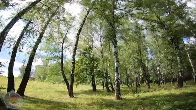 п. Заокский полет FPV жаркое лето 2021