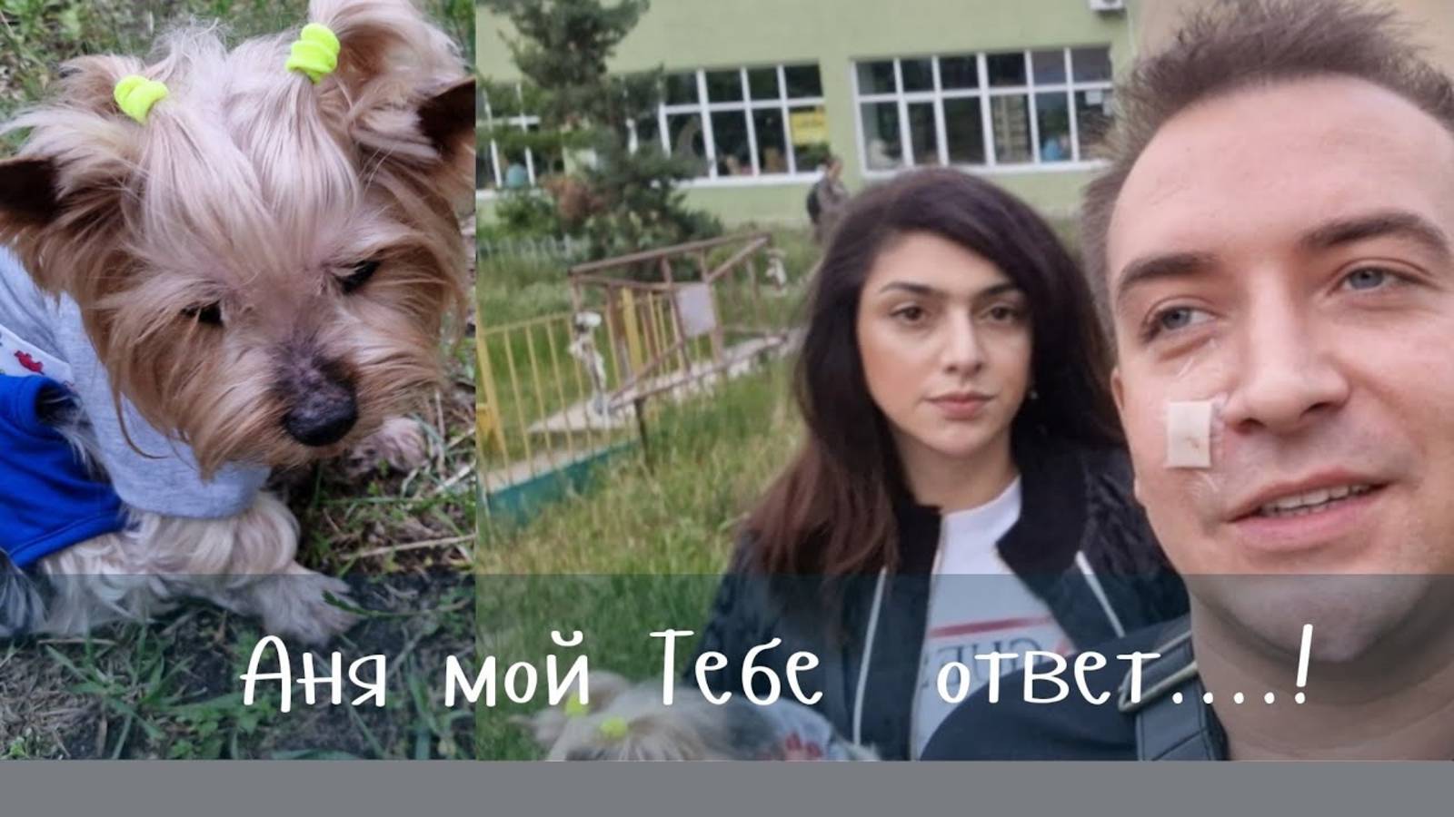 Гарик и Керри- Аня и не только мой Вам ответ. Он гулять  не может!