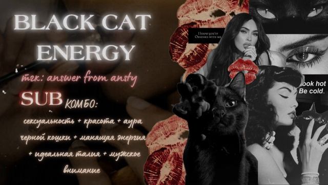 𝑩𝑳𝑨𝑪𝑲 𝑪𝑨𝑻 𝑬𝑵𝑬𝑹𝑮𝒀 𝑺𝑼𝑩: кошачья красо?