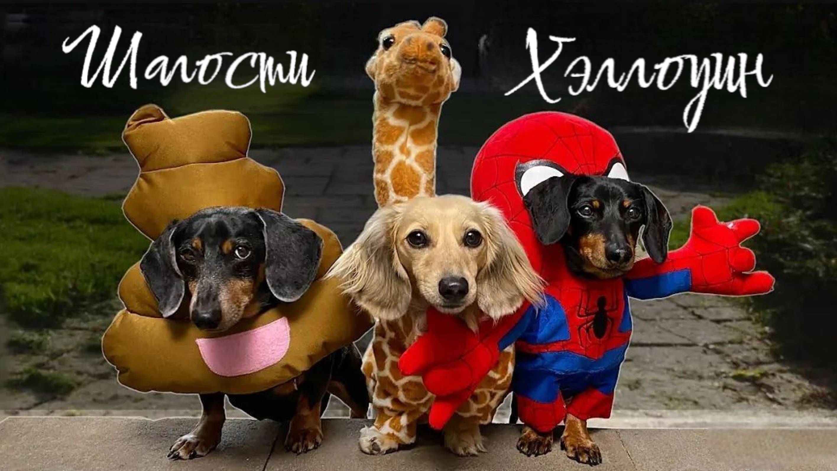 Шалости на хэллоуин