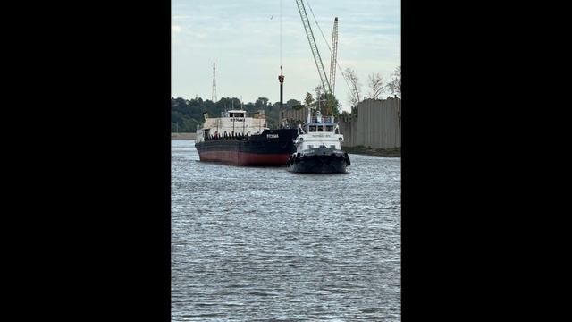 Плотовод-678. снят с берега, с судов. навигация 2024