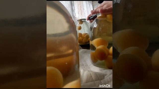 VLOG 😊ЯК РУЗИ МАН ДАР КИШЛОК ❤️БАНКАМАХКАМКУНИ КАМПОТ