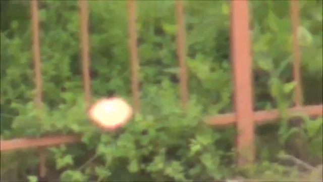 Наблюдение НЛО в Сан-Антонио