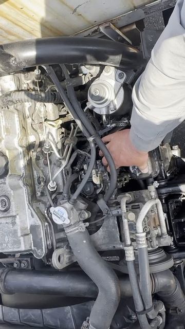 share FD501B-440236