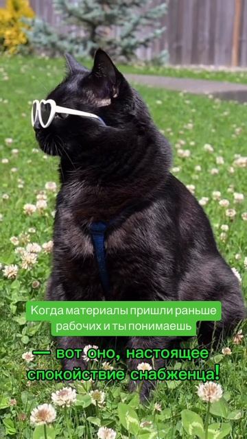Когда материалы пришли раньше рабочих и ты понимаешь — вот оно, настоящее спокойствие снабженца!