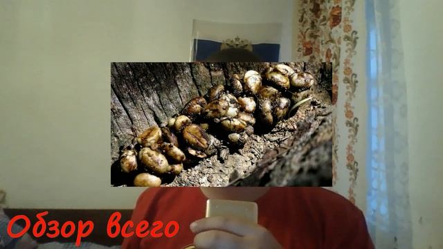 5 самых отвратительных напитков!