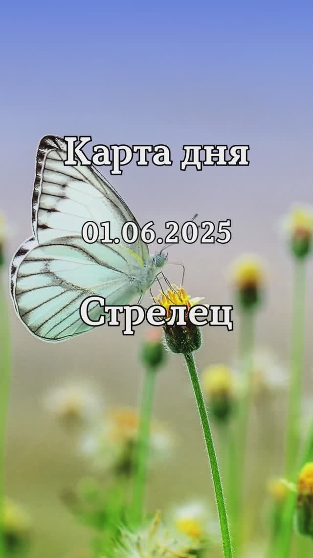 ✨Карта дня 01.06.2025✨ Стрелец