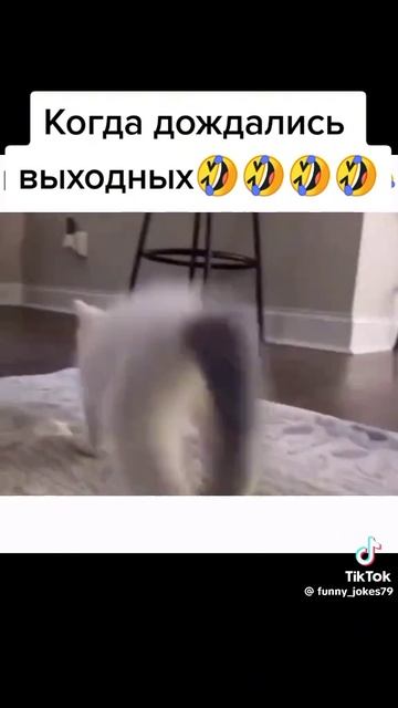 1000098747.mp4