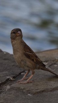 video_2025-05-28_09-54-11