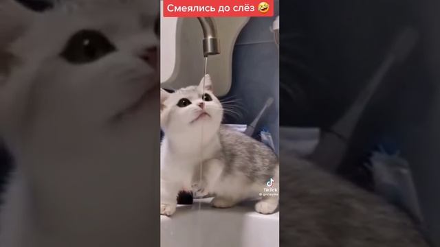 1000098716.mp4