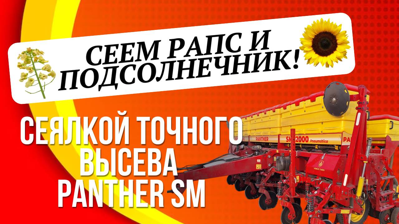 Сеялка Panter SM в работе! Сеем рапс и подсолнечник
