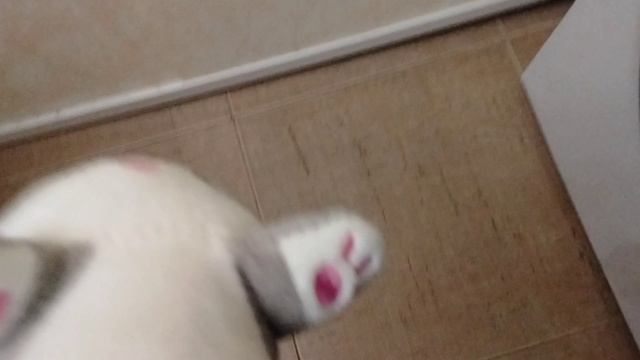 Сборник танцев от бебенделя