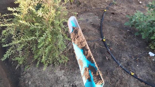 Укладка бордюра в новой части сада.